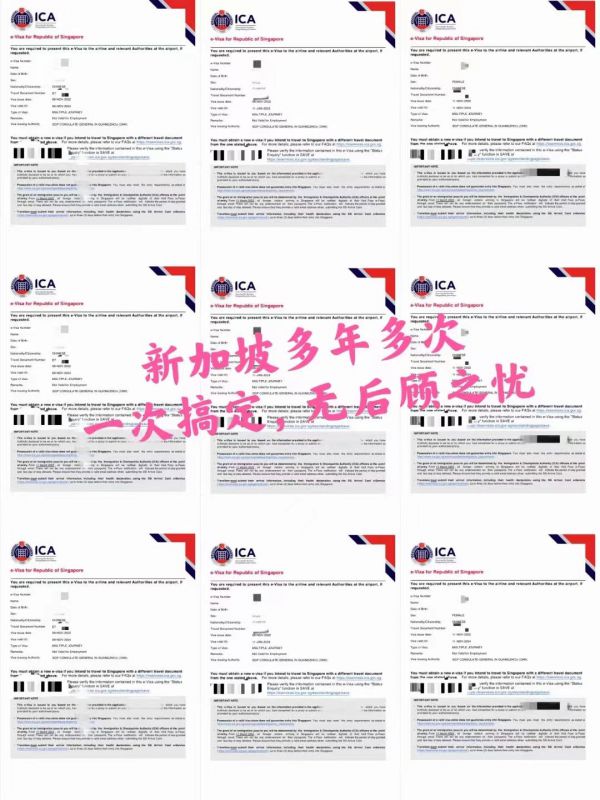 签证案例