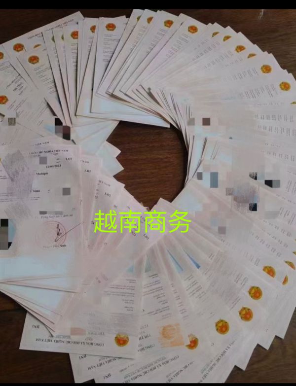签证案例