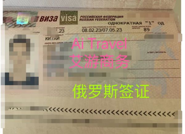 签证案例