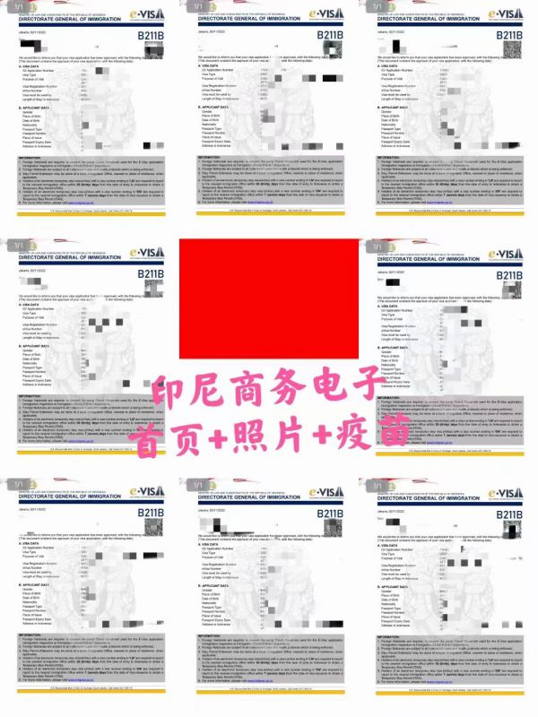 签证案例