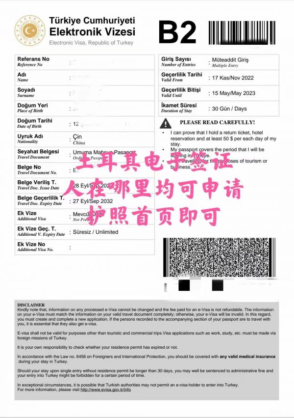 签证案例